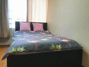 GU Freedom Home 403